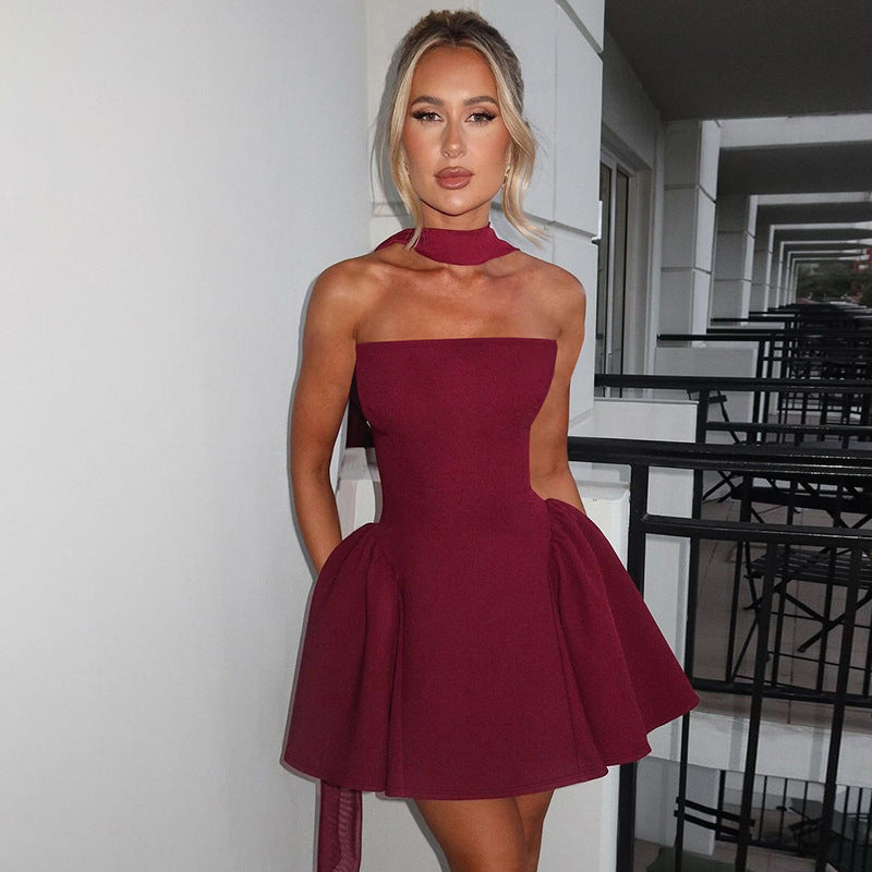 Tube Top Dress With Back Zipper Design