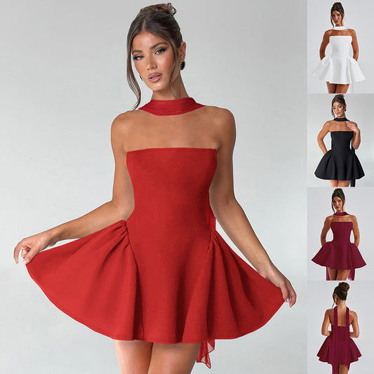 Tube Top Dress With Back Zipper Design